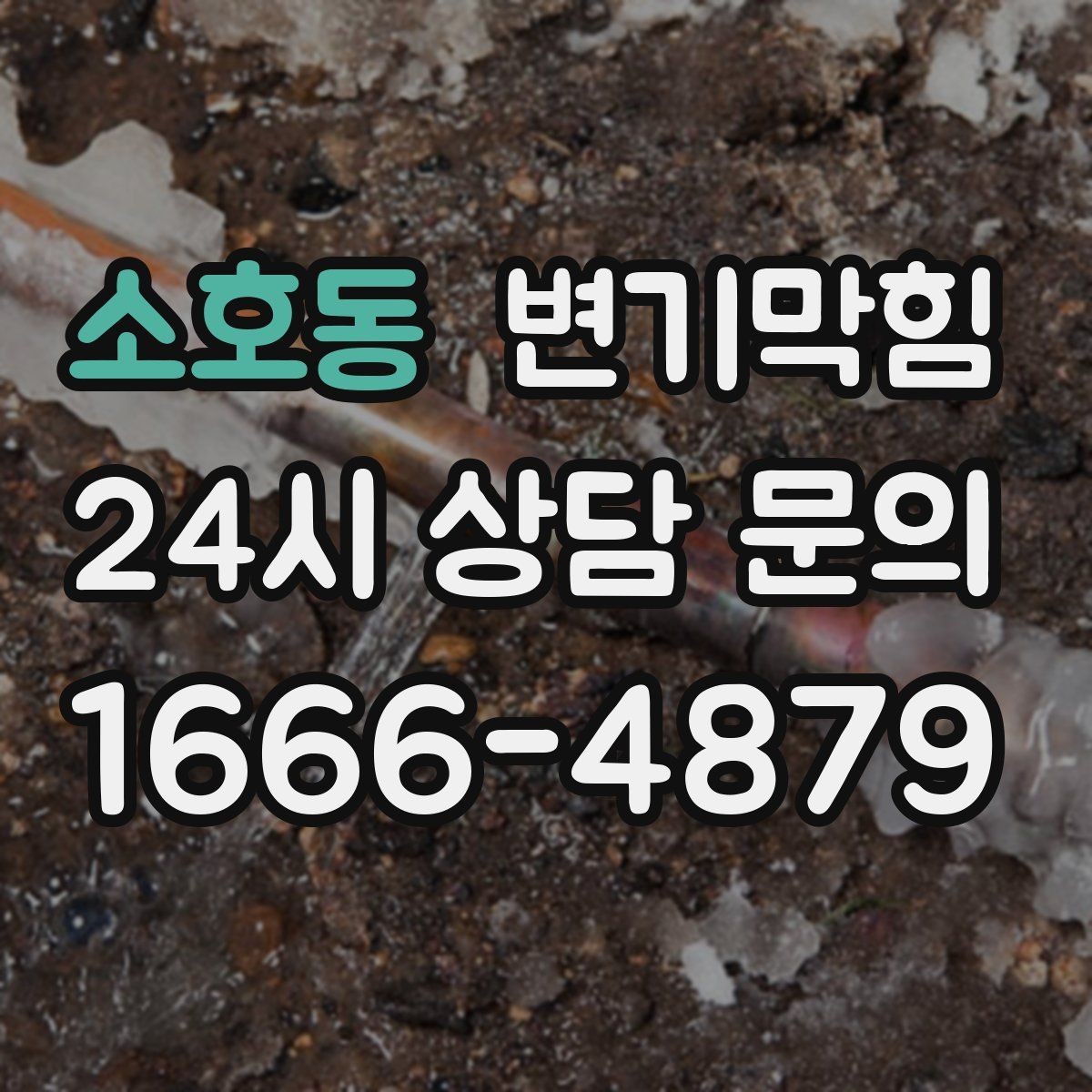 소호동 변기막힘 단독 내시경으로 이물 즉시 회수