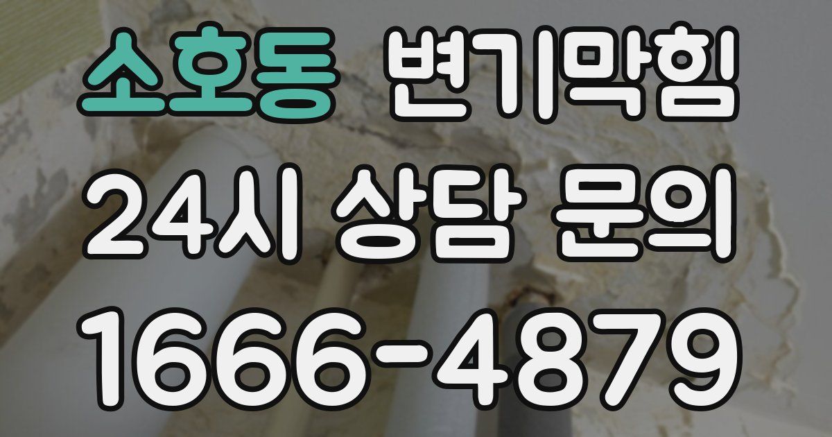 소호동 변기