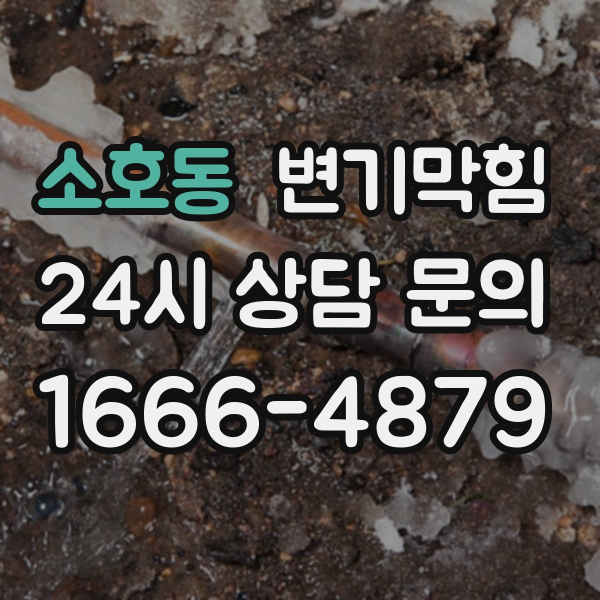소호동 변기막힘