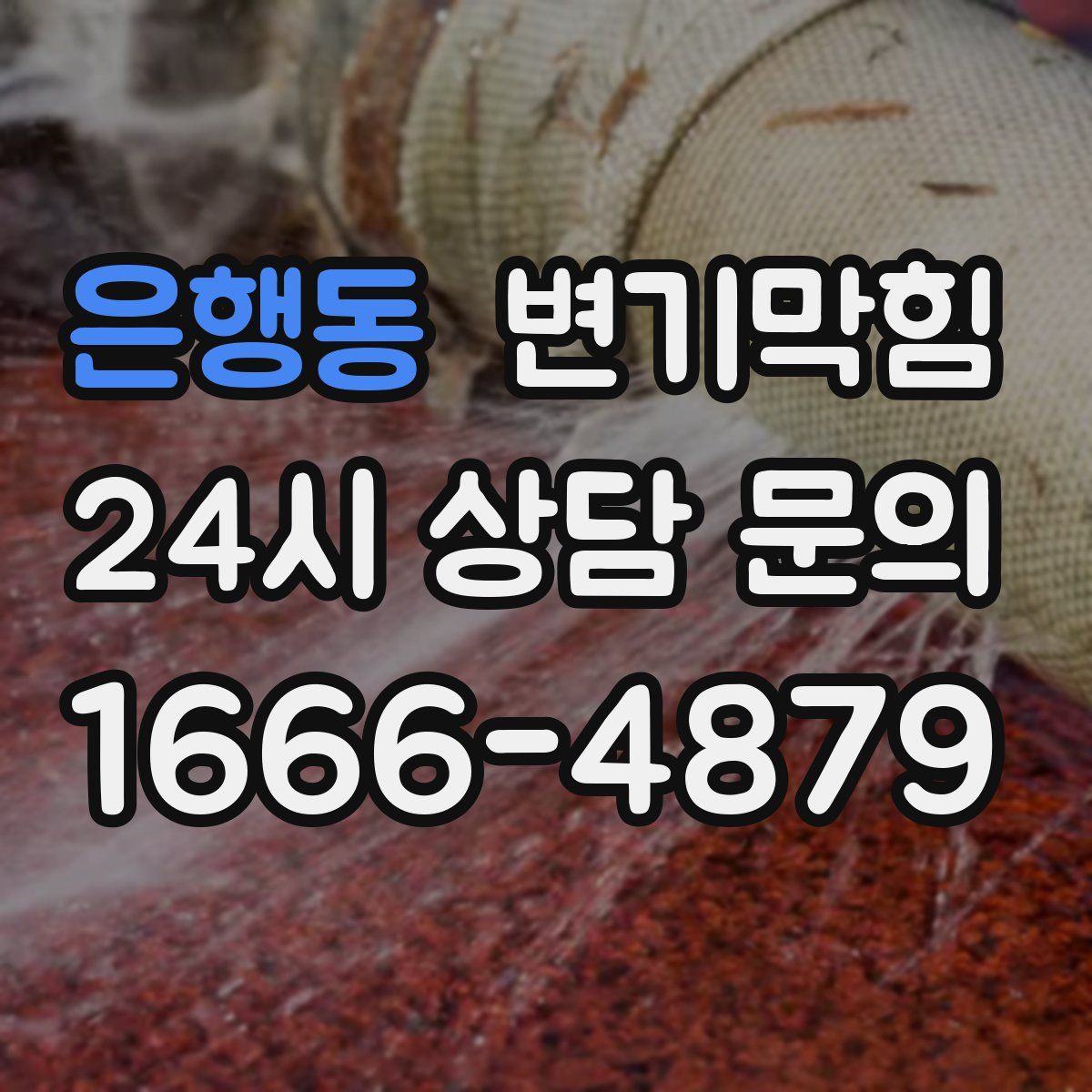 은행동 변기막힘