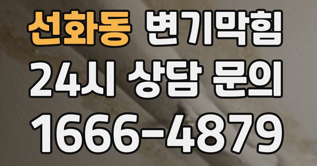 선화동 변기