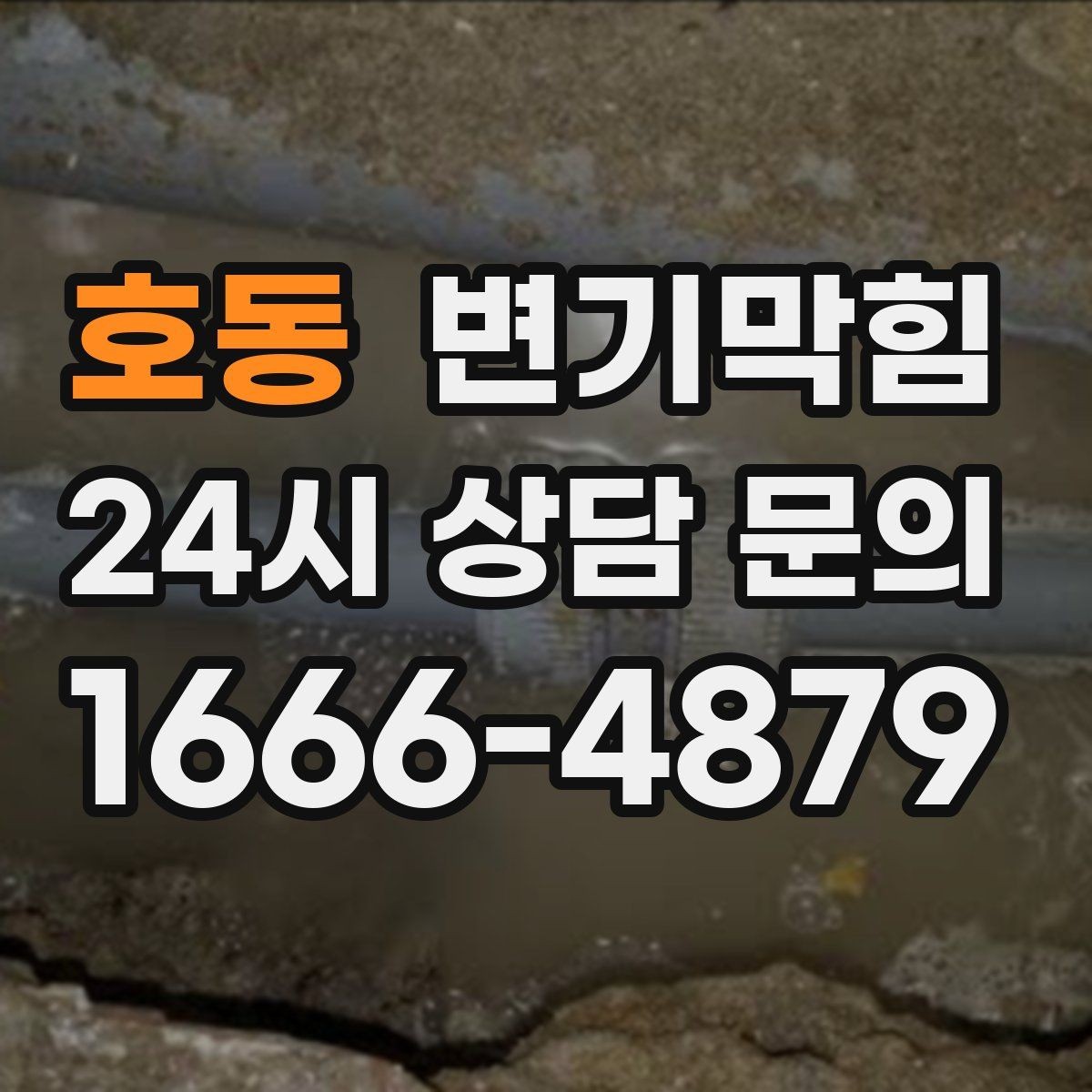 호동 변기막힘 사무실 수봉 회복으로 쾌적함