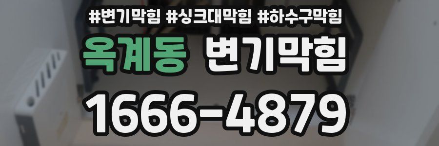 변기막힘