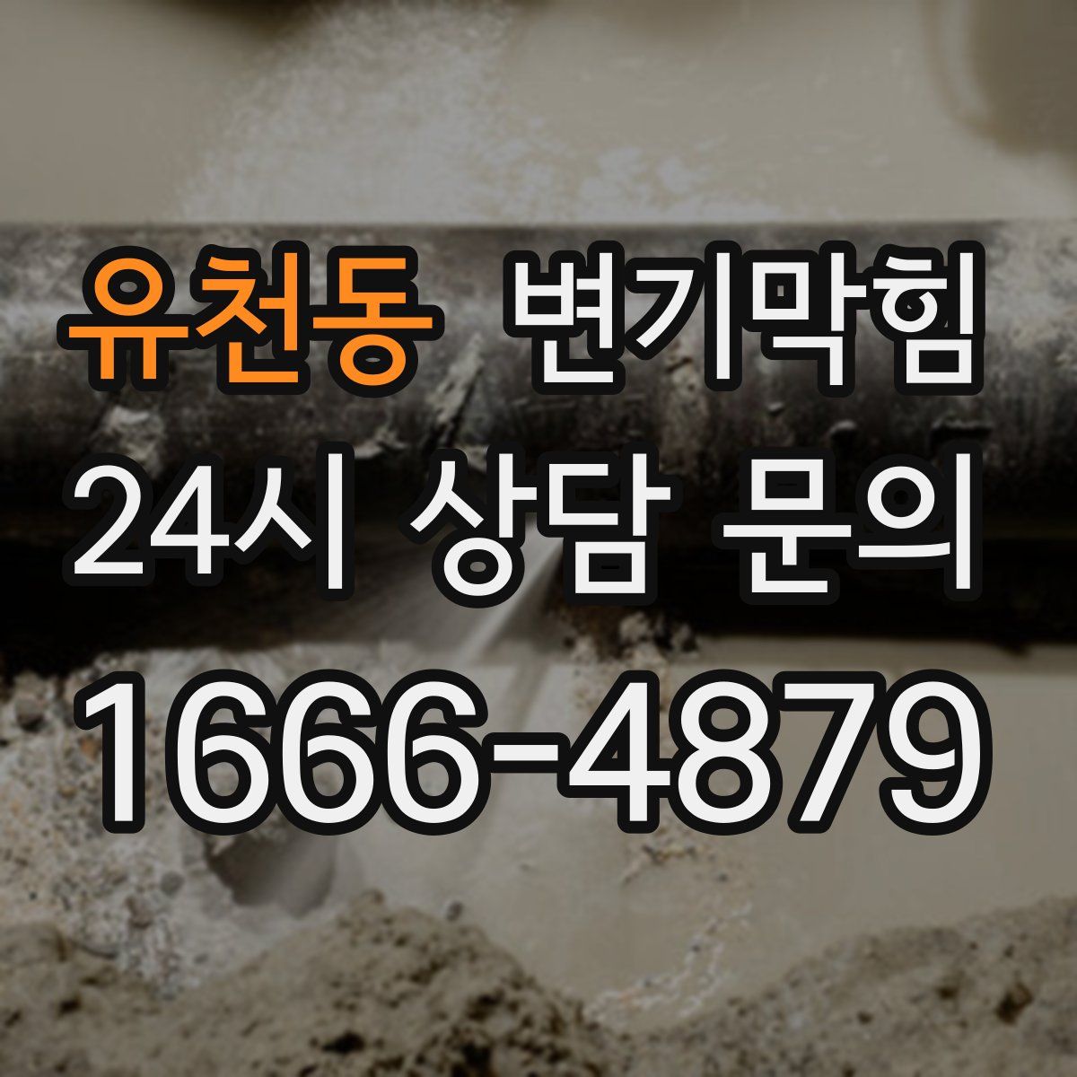 유천동 변기막힘