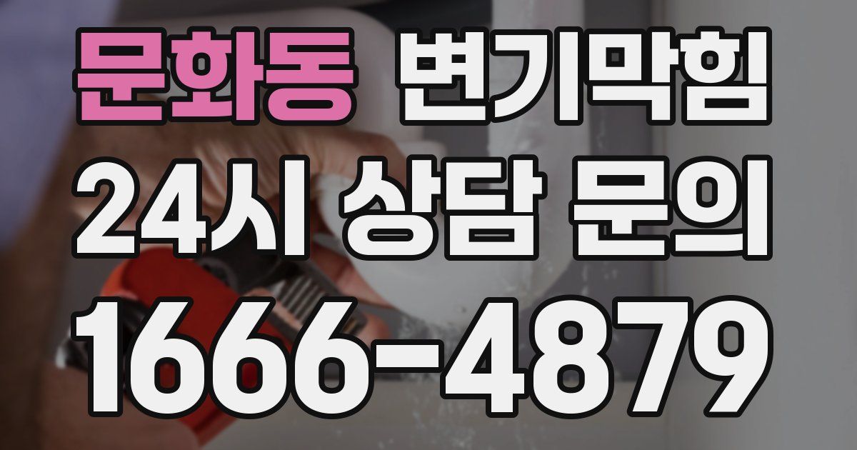 문화동 변기