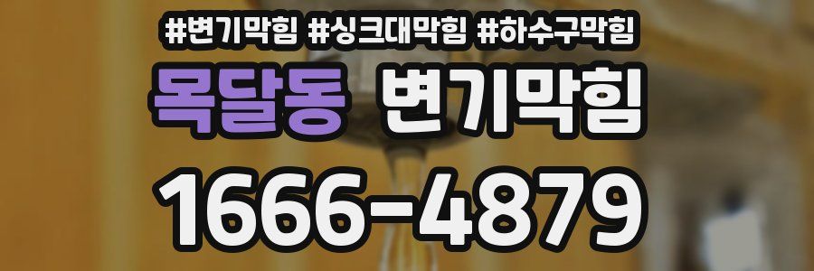 변기막힘