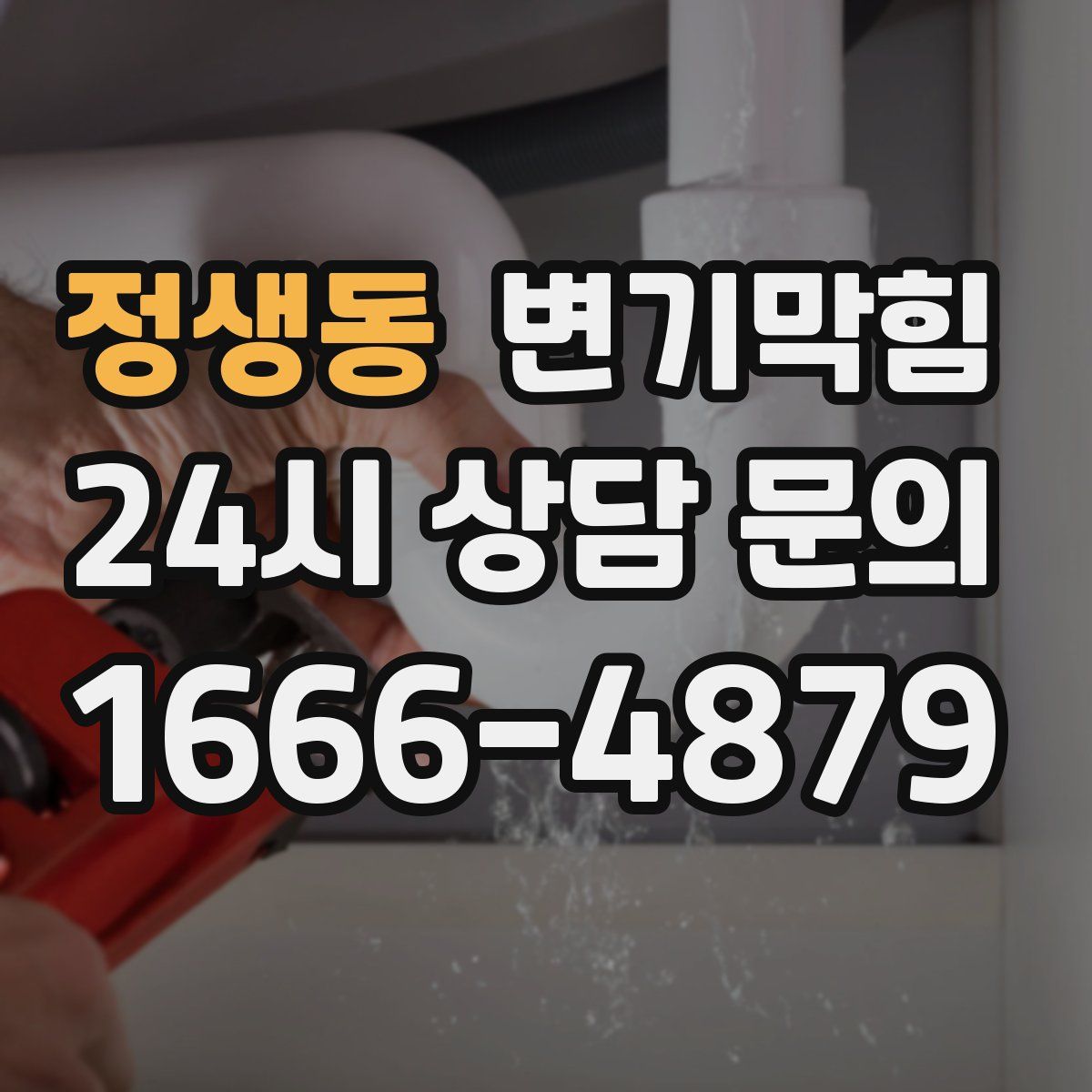 정생동 변기막힘