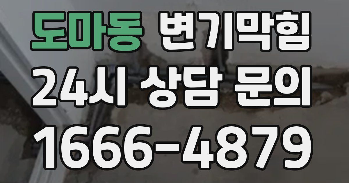 도마동 변기