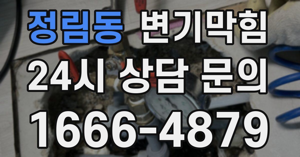 정림동 변기
