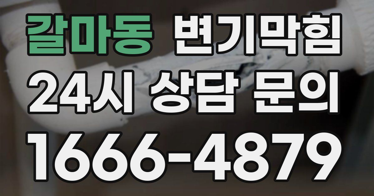 갈마동 변기