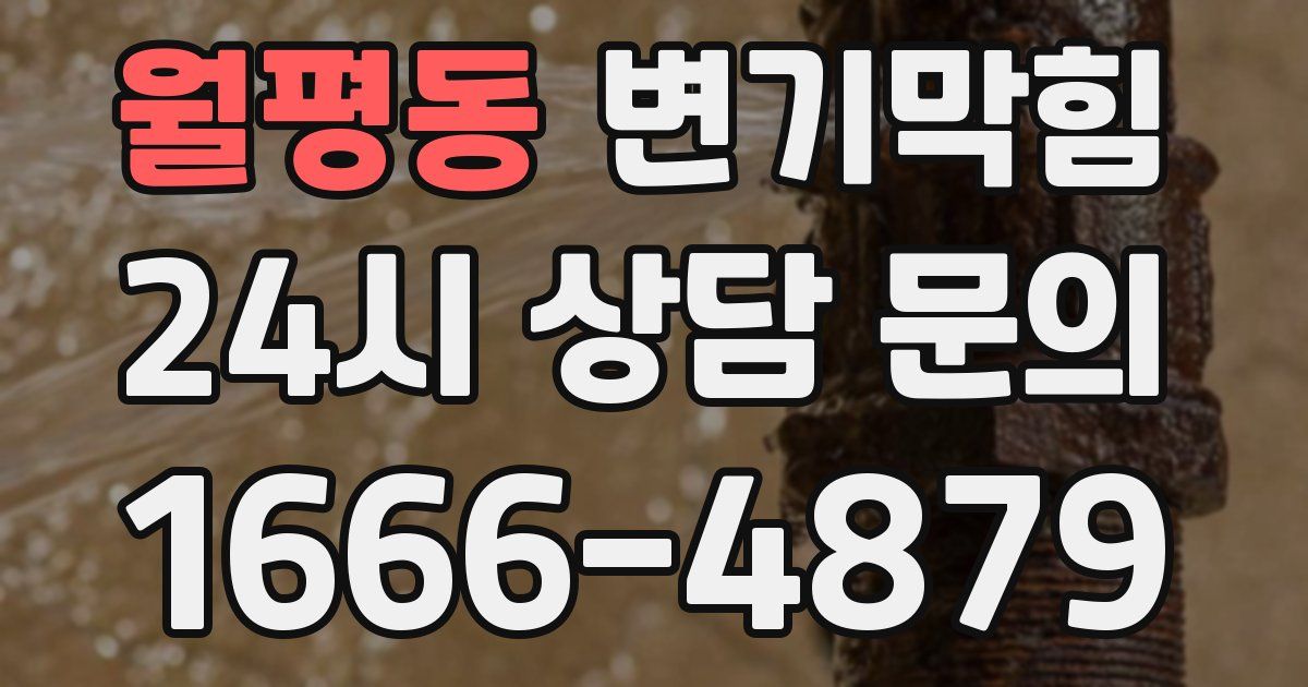 월평동 변기