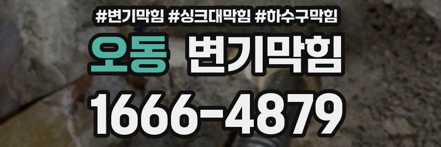 변기막힘