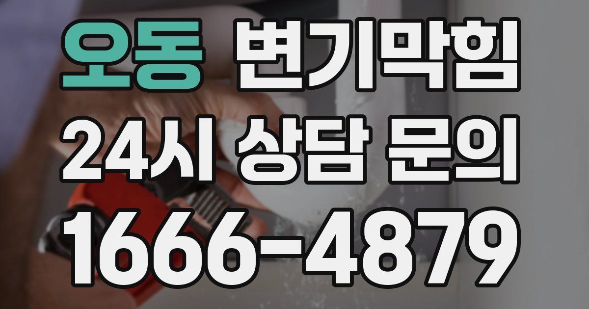 오동 변기