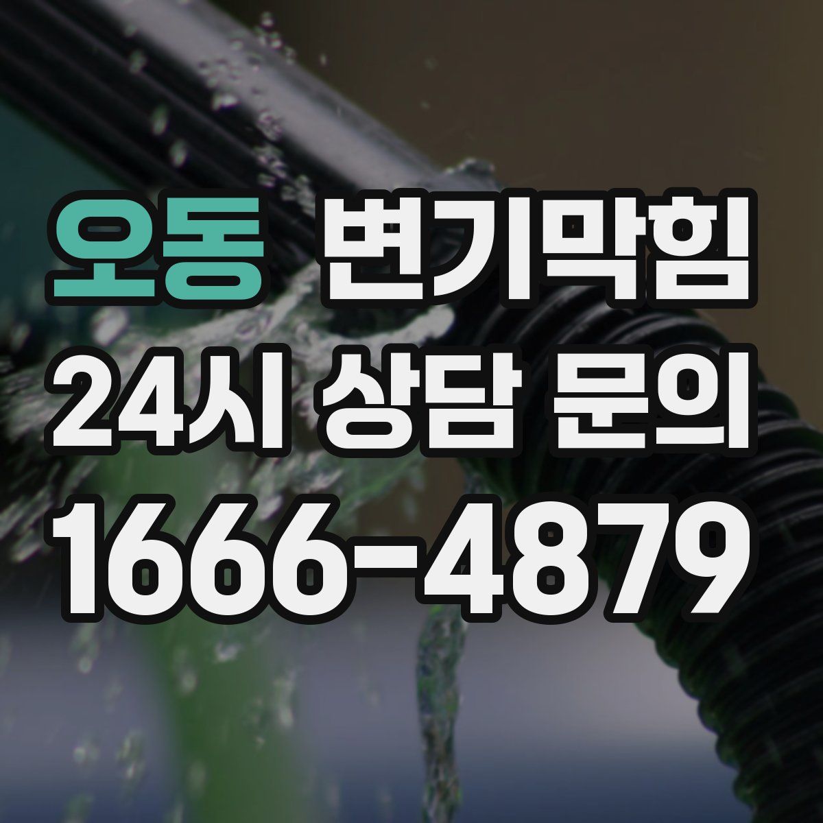 오동 변기막힘