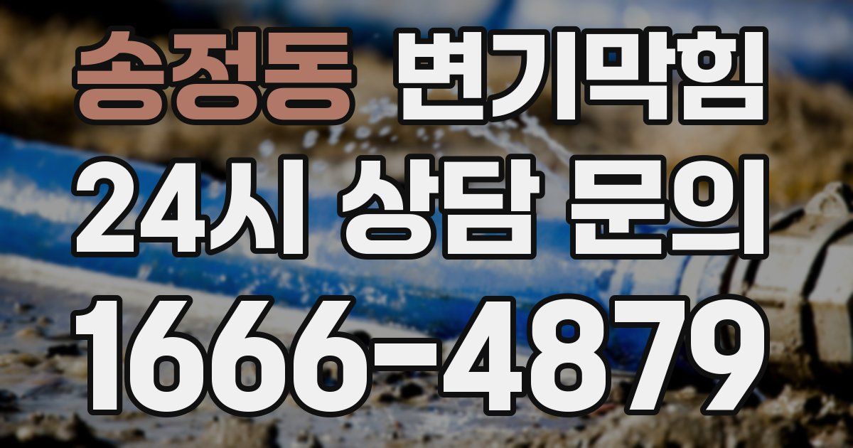 송정동 변기