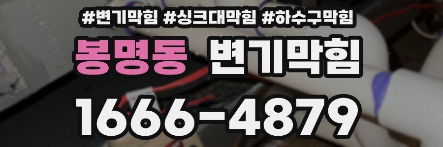 변기막힘