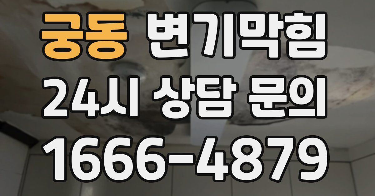 궁동 변기