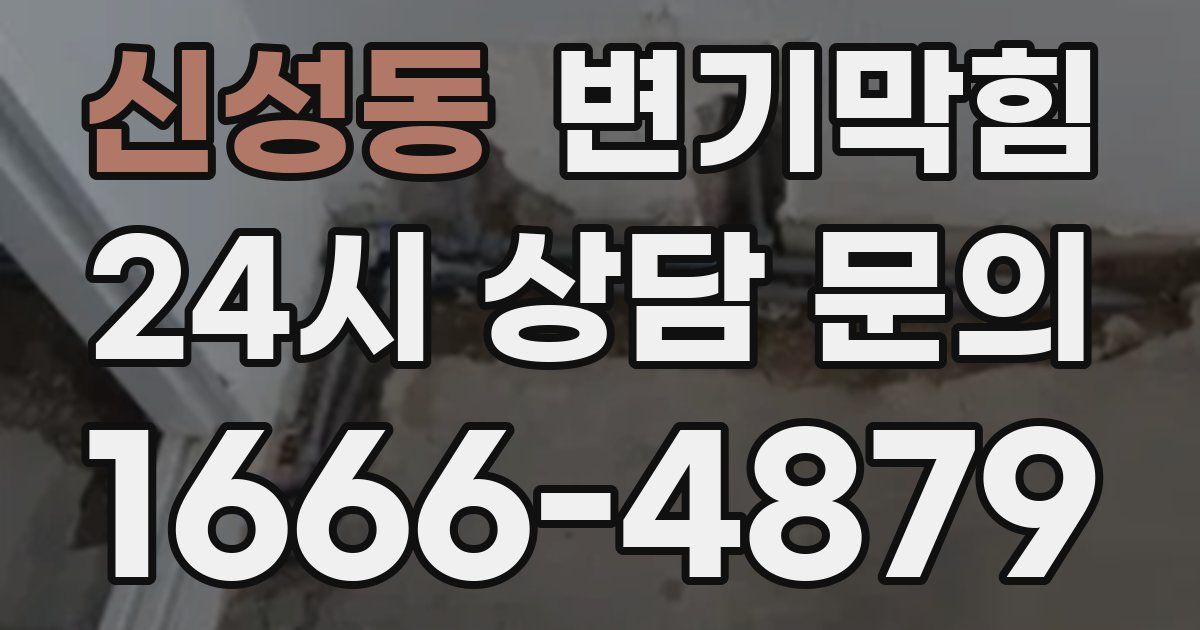 신성동 변기