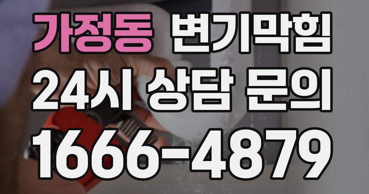 가정동 변기
