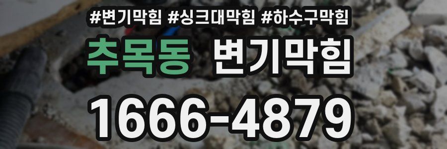 변기막힘