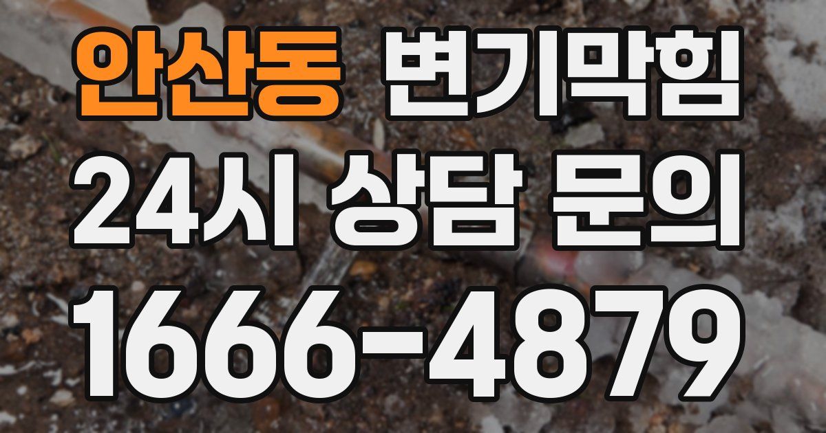 안산동 변기
