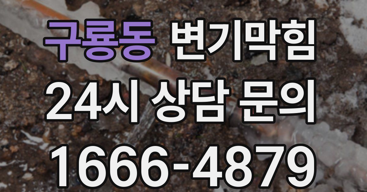 구룡동 변기
