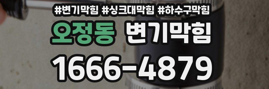 변기막힘