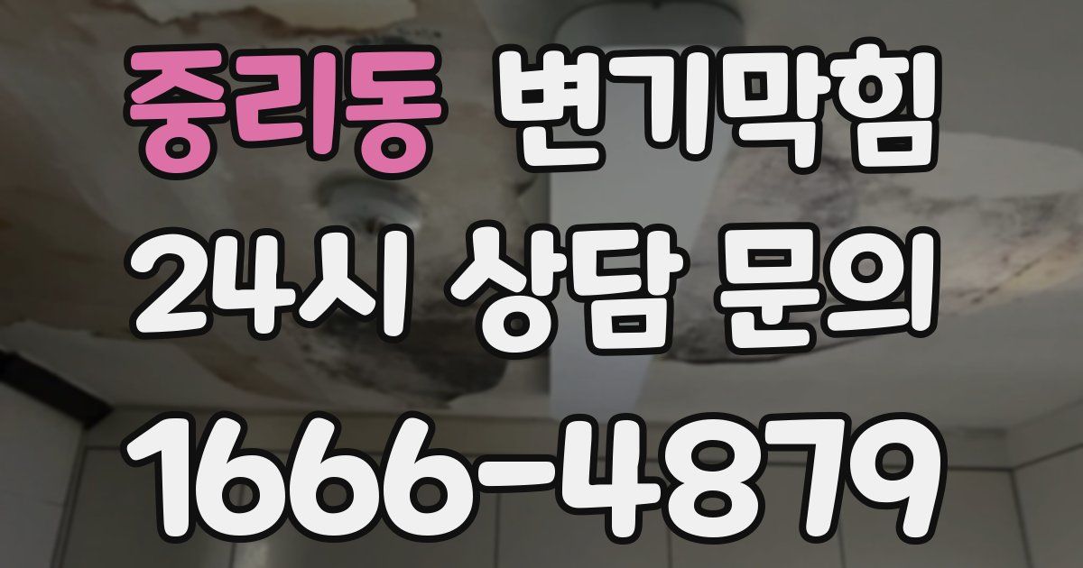 중리동 변기