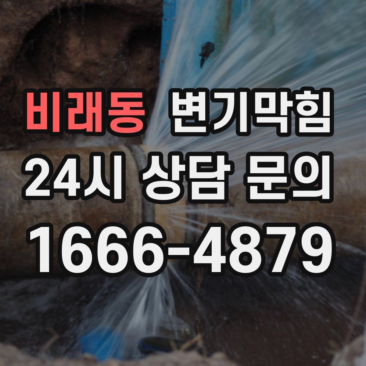 비래동 변기막힘 단독 주택 화장실역류 수봉 회복 후 안정화