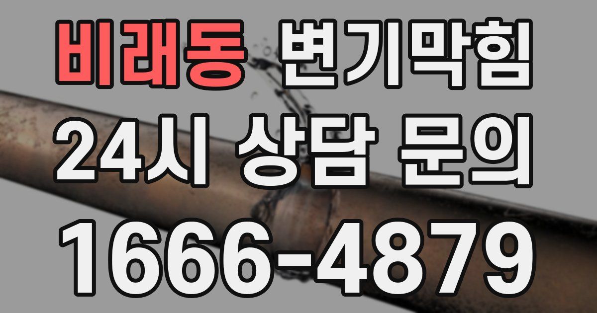 비래동 변기
