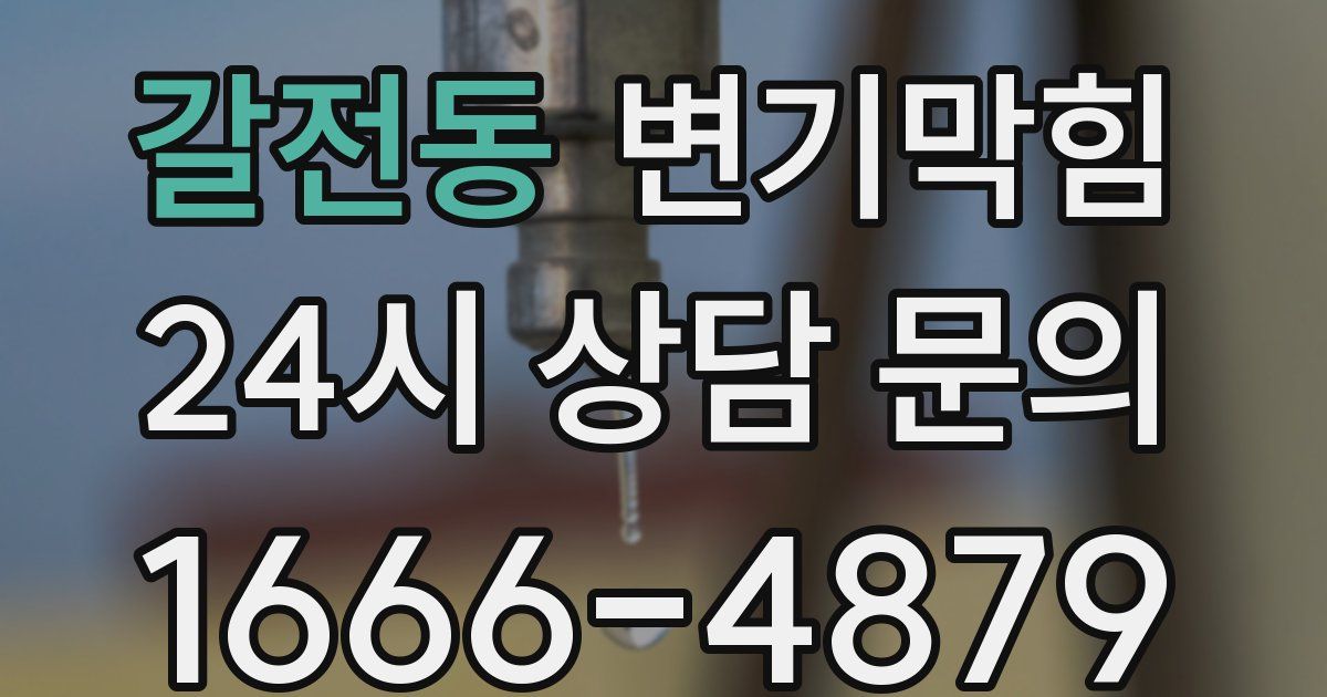 갈전동 변기