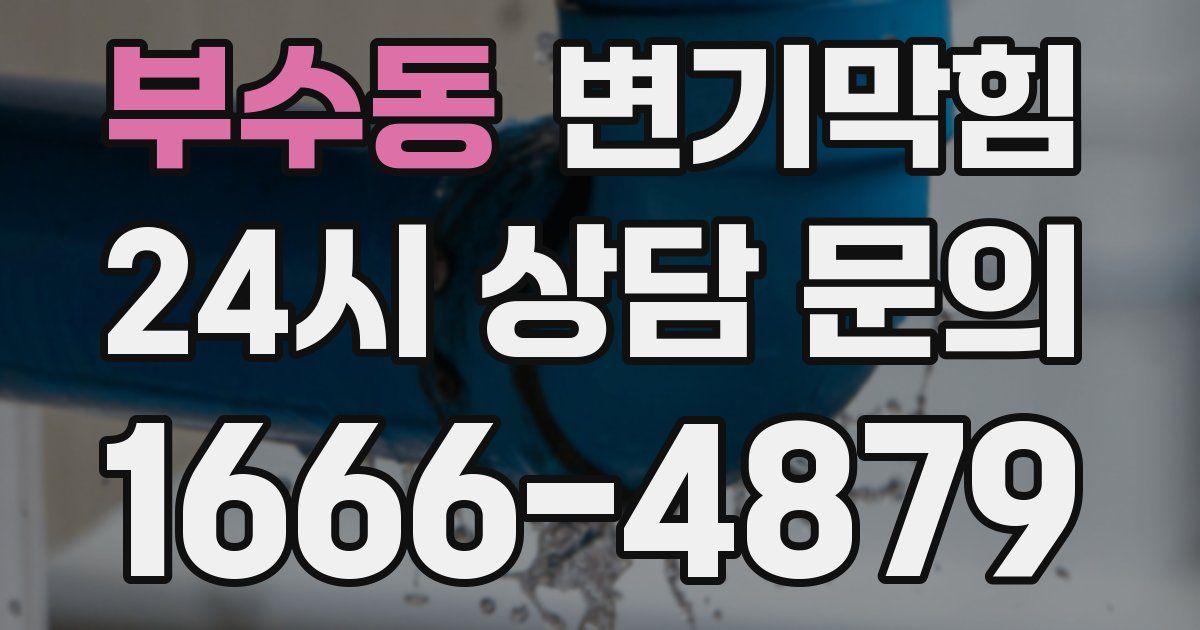부수동 변기