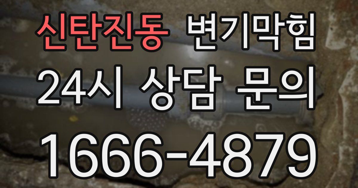 신탄진동 변기