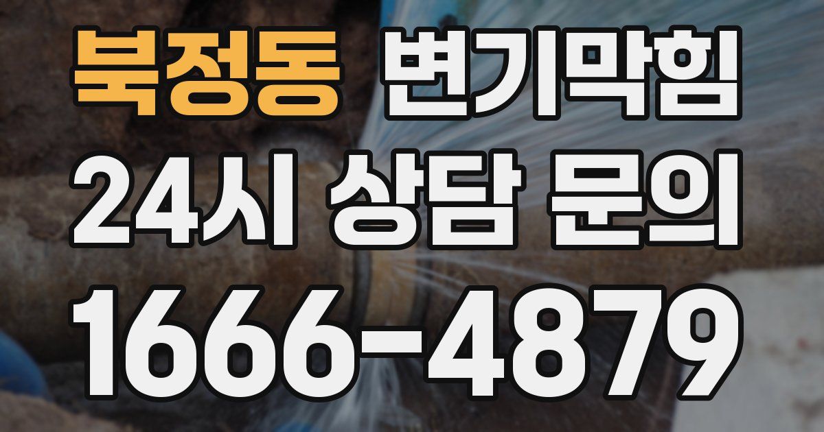북정동 변기