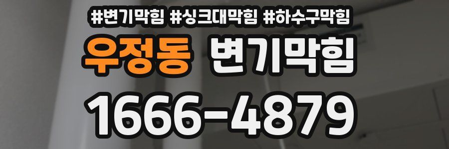 변기막힘