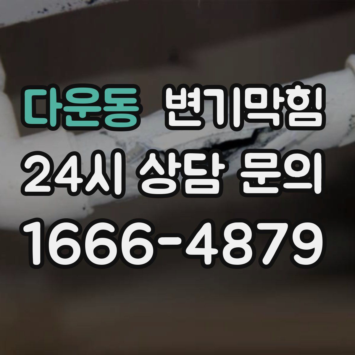 다운동 변기막힘