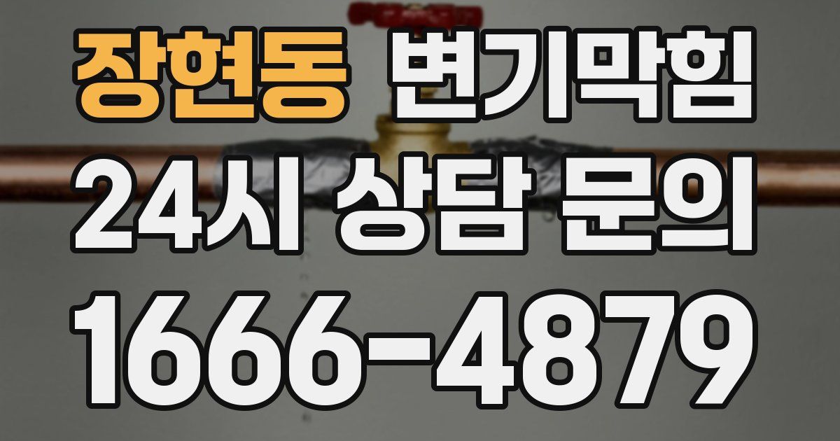 장현동 변기