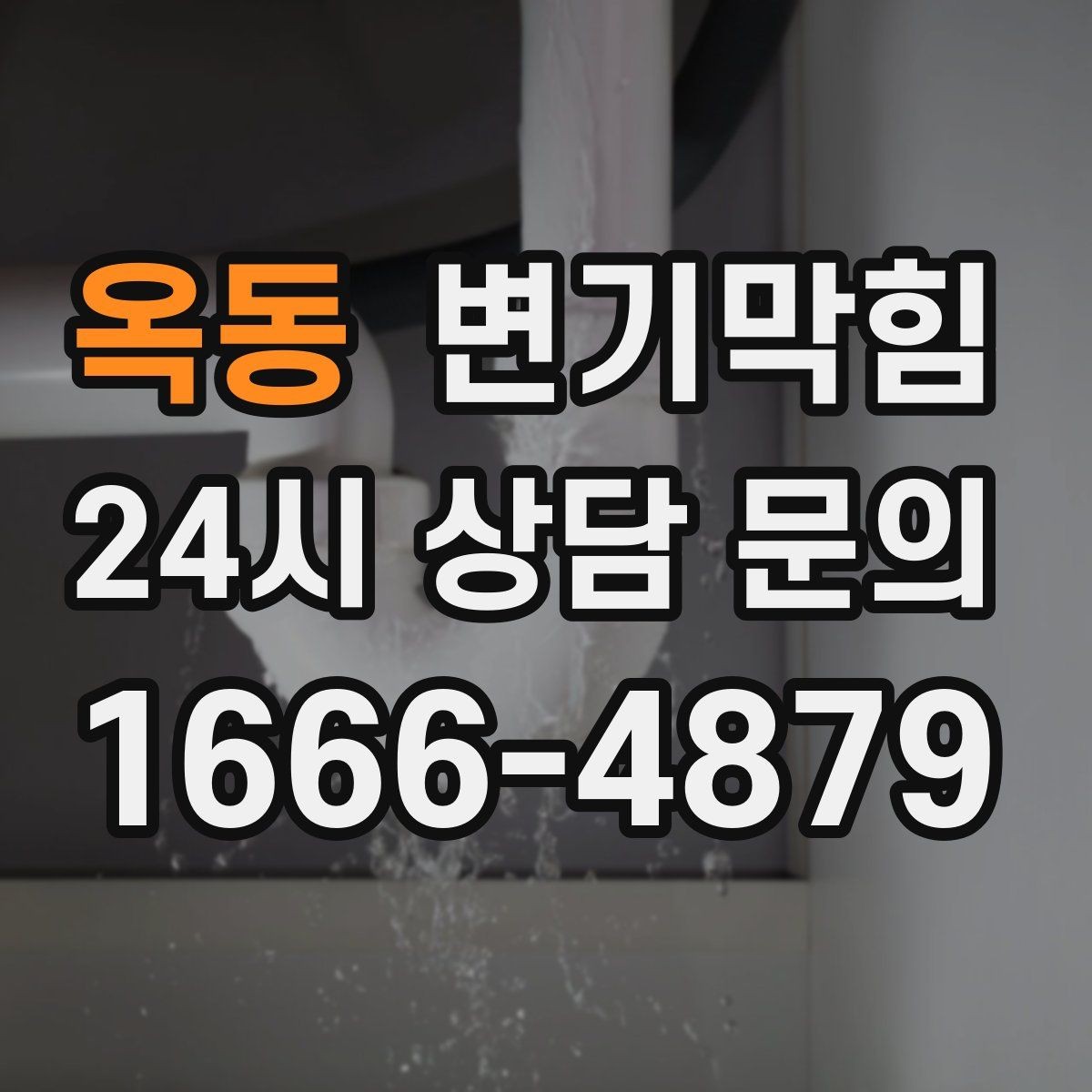 옥동 변기막힘 식당 화장실막힘 주방·홀 분리