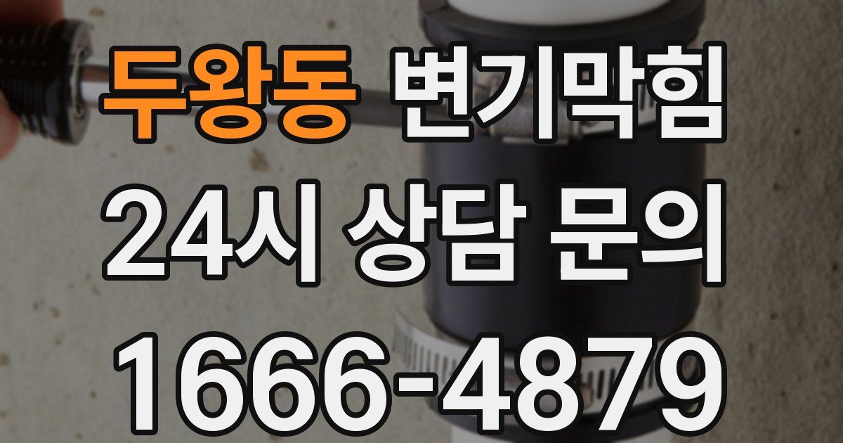 두왕동 변기
