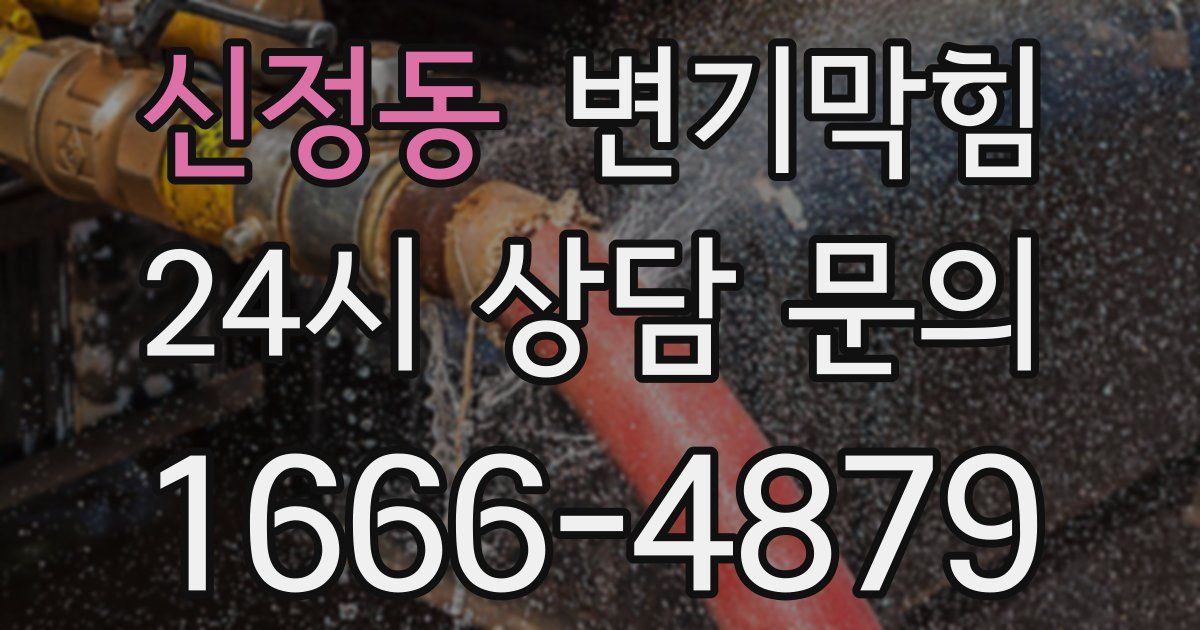 신정동 변기