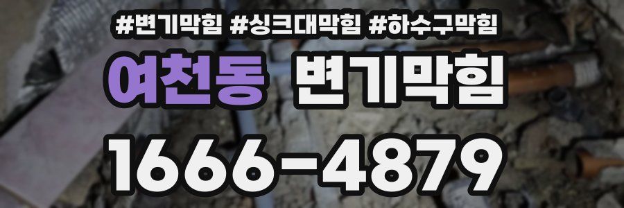 변기막힘
