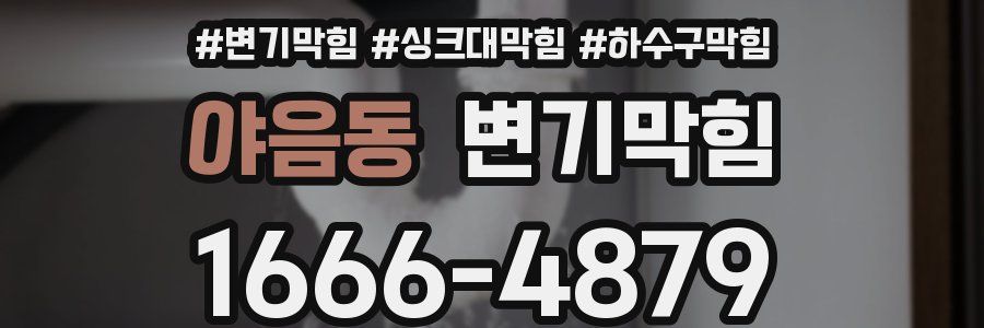 변기막힘