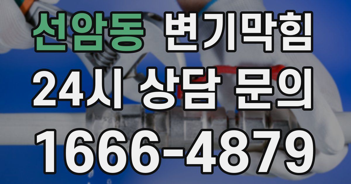 선암동 변기