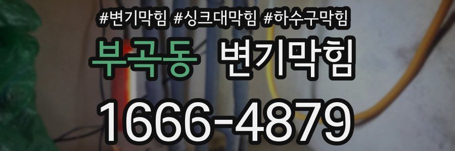 변기막힘