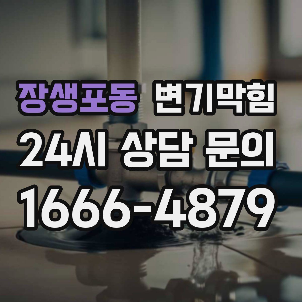 장생포동 변기막힘 아파트 배수구막힘 사진 리포트로 확인