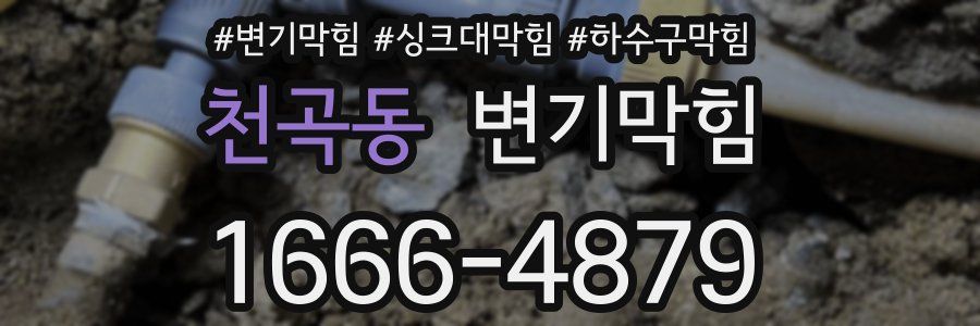 변기막힘