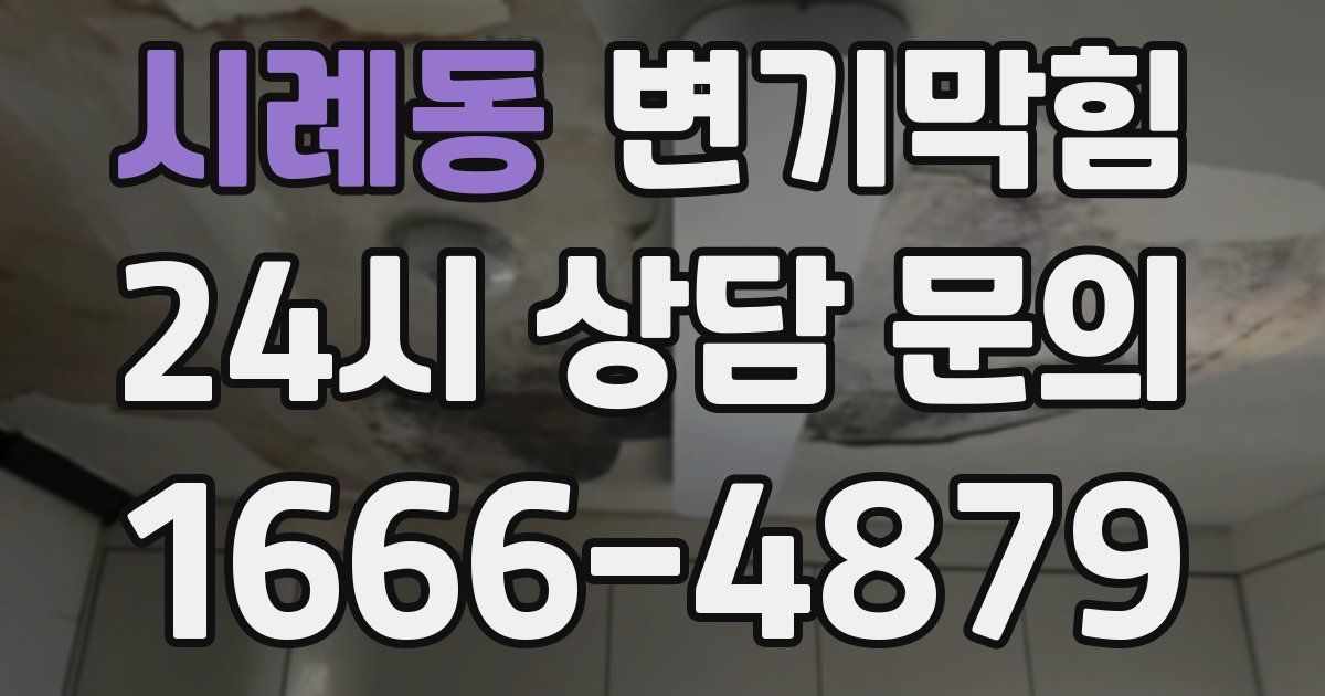 시례동 변기