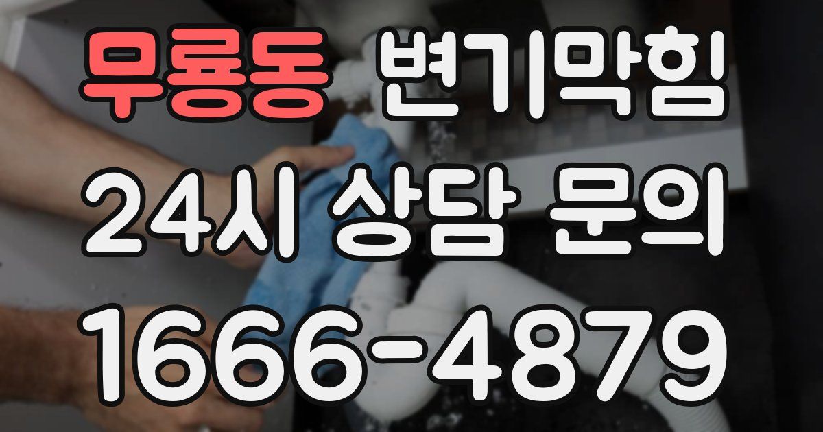 무룡동 변기