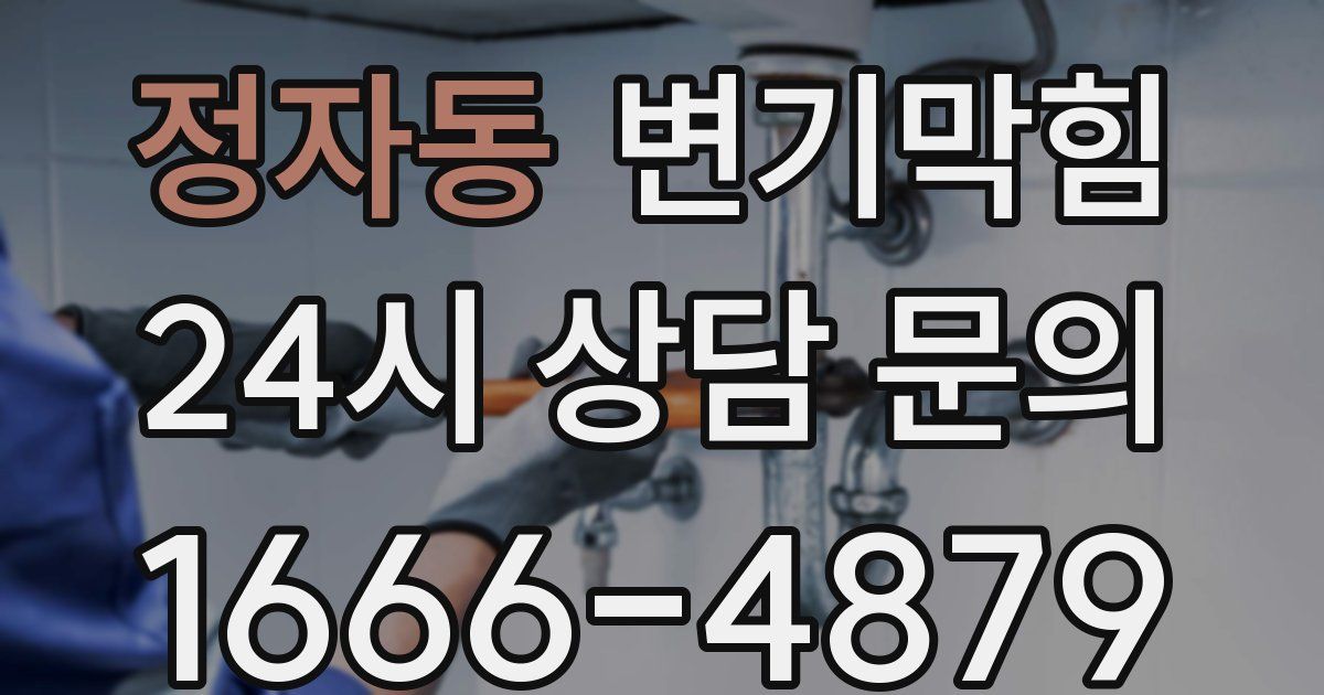 정자동 변기