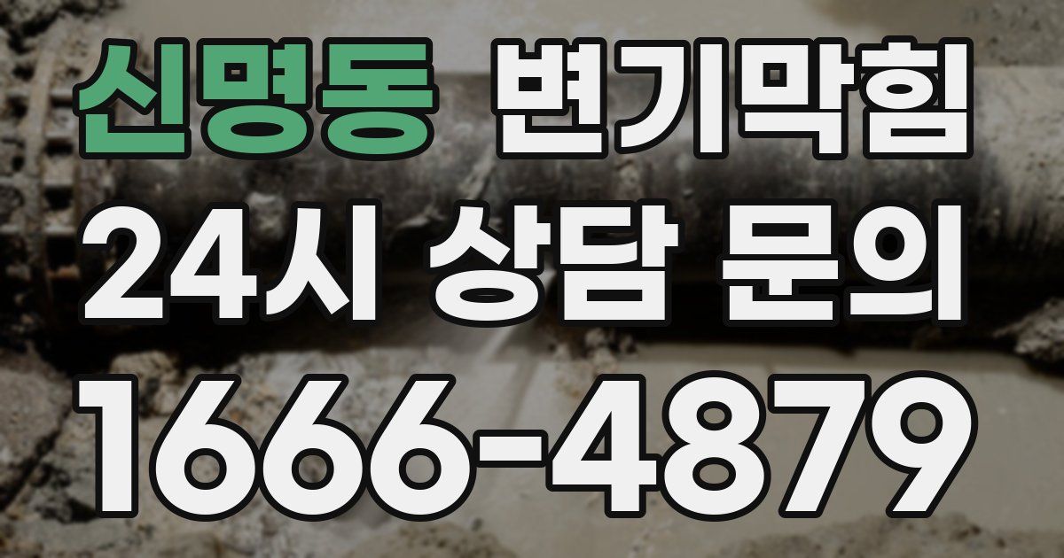 신명동 변기